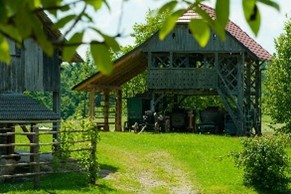SEMIČ6