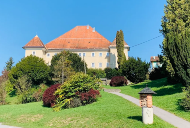 MARTINOVANJE pri Kauranu - 2025